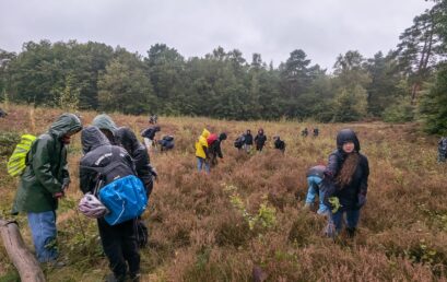 Projekttag des 7. Jahrgangs gemeinsam mit dem NABU